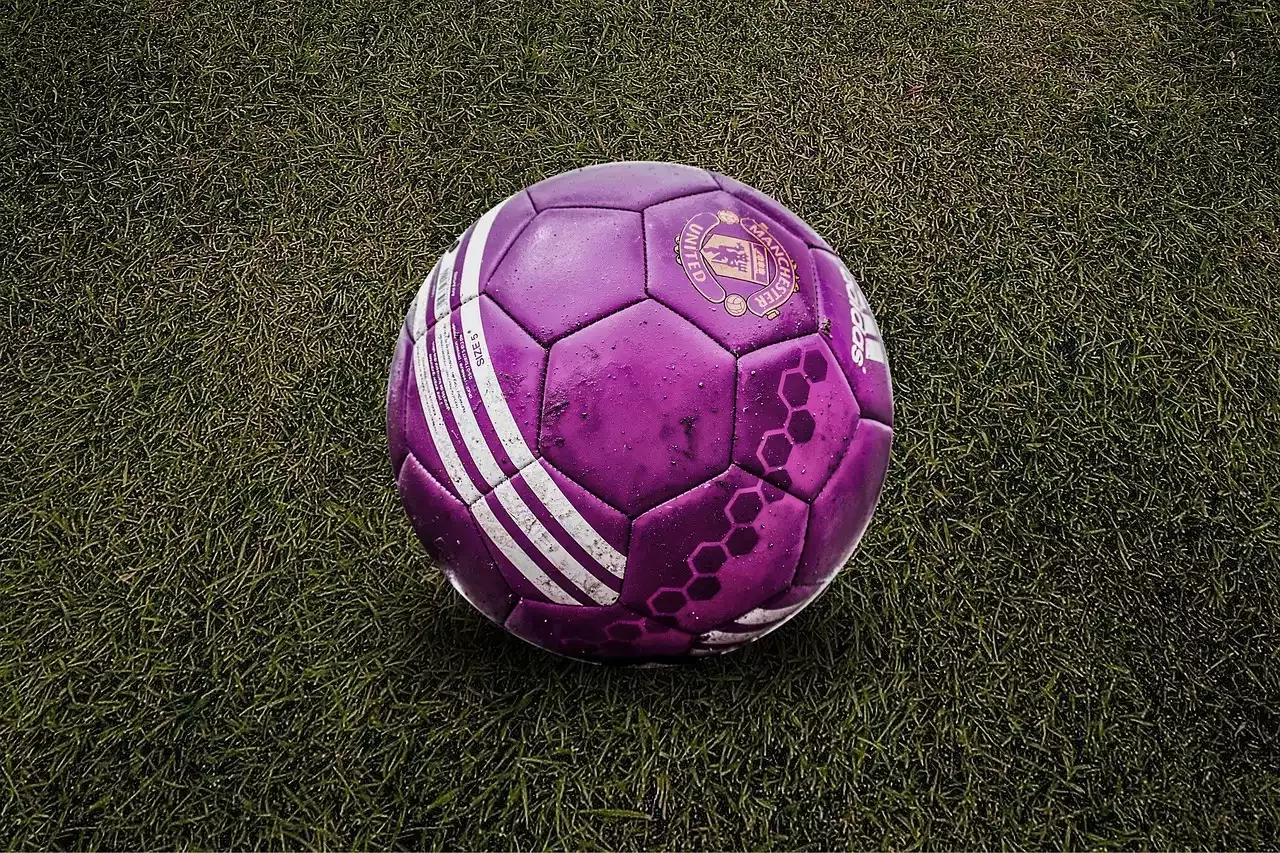 Adidas Telstar 19 - Balón oficial del Mundial de Qatar 2022